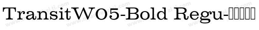 TransitW05-Bold Regu字体转换